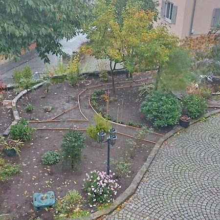 德累斯顿Winzerhaus Rissweg 15别墅 外观 照片
