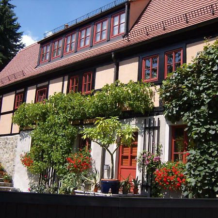 德累斯顿Winzerhaus Rissweg 15别墅 外观 照片
