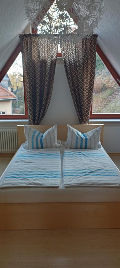 德累斯顿Winzerhaus Rissweg 15别墅 外观 照片