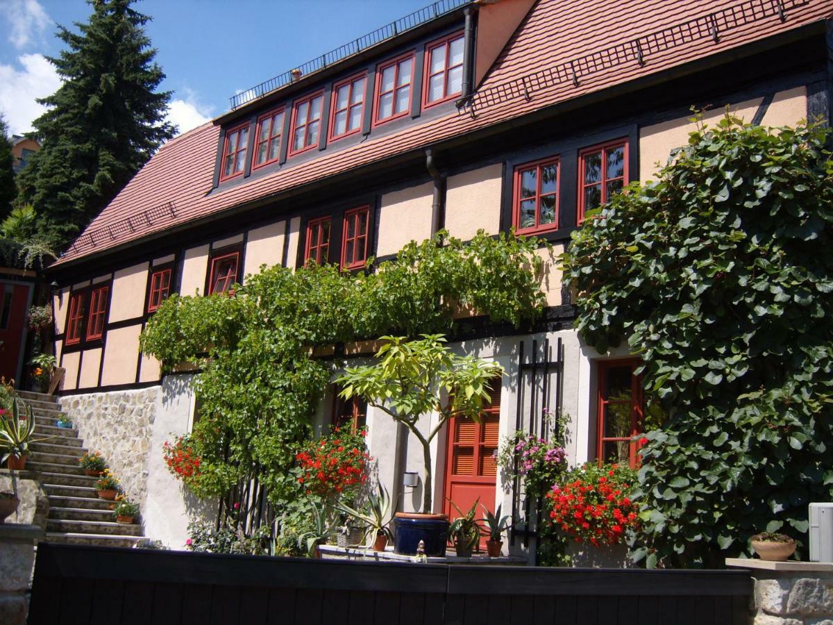 德累斯顿Winzerhaus Rissweg 15别墅 外观 照片
