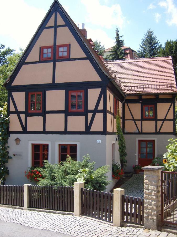 德累斯顿Winzerhaus Rissweg 15别墅 外观 照片